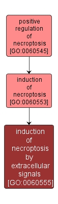 GO:0060555 - induction of necroptosis by extracellular signals (interactive image map)