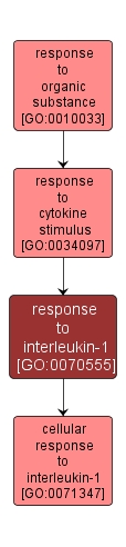 GO:0070555 - response to interleukin-1 (interactive image map)