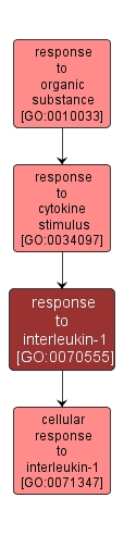 GO:0070555 - response to interleukin-1 (interactive image map)
