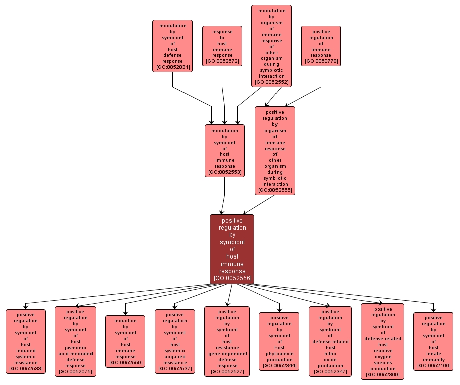 GO:0052556 - positive regulation by symbiont of host immune response (interactive image map)