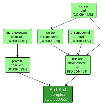 GO:0033557 - Slx1-Slx4 complex (interactive image map)