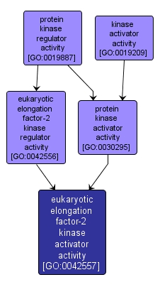 GO:0042557 - eukaryotic elongation factor-2 kinase activator activity (interactive image map)