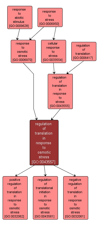 GO:0043557 - regulation of translation in response to osmotic stress (interactive image map)