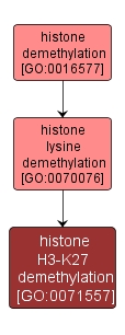 GO:0071557 - histone H3-K27 demethylation (interactive image map)