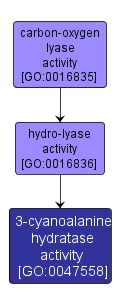 GO:0047558 - 3-cyanoalanine hydratase activity (interactive image map)