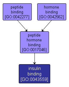 GO:0043559 - insulin binding (interactive image map)