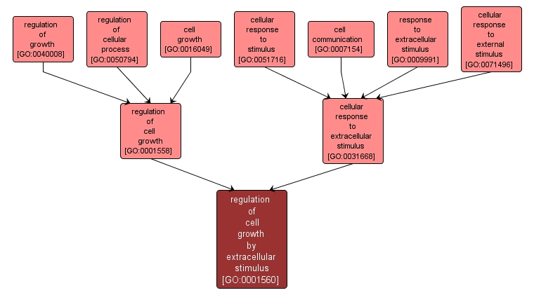 GO:0001560 - regulation of cell growth by extracellular stimulus (interactive image map)