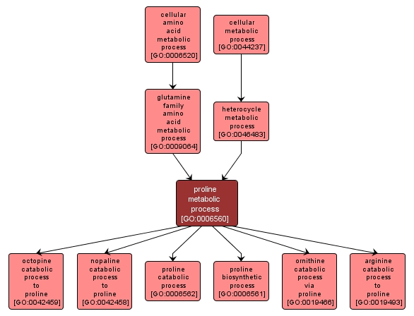 GO:0006560 - proline metabolic process (interactive image map)