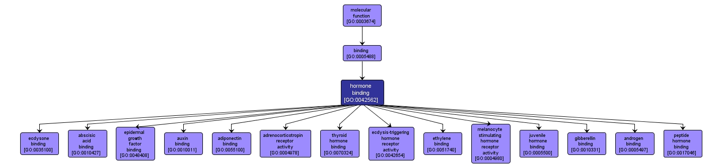 GO:0042562 - hormone binding (interactive image map)