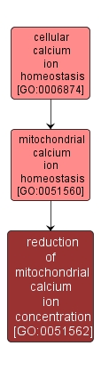 GO:0051562 - reduction of mitochondrial calcium ion concentration (interactive image map)