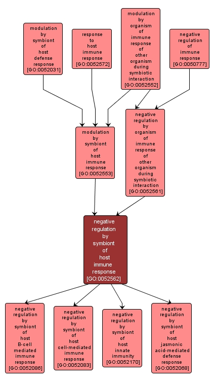 GO:0052562 - negative regulation by symbiont of host immune response (interactive image map)