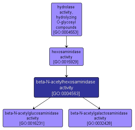 GO:0004563 - beta-N-acetylhexosaminidase activity (interactive image map)