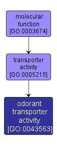 GO:0043563 - odorant transporter activity (interactive image map)