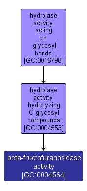 GO:0004564 - beta-fructofuranosidase activity (interactive image map)