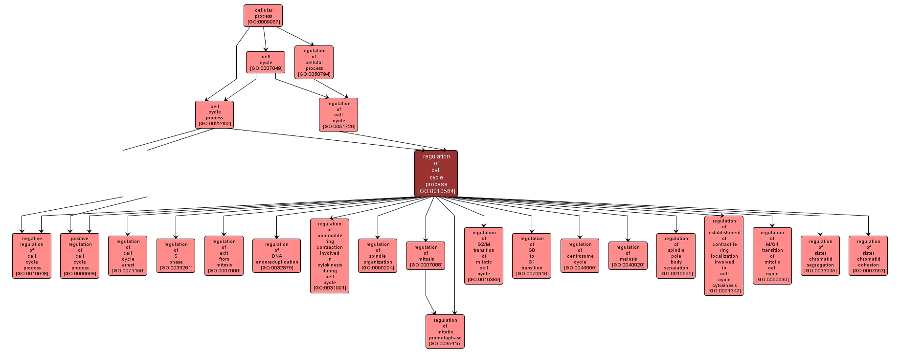 GO:0010564 - regulation of cell cycle process (interactive image map)