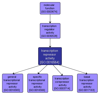 GO:0016564 - transcription repressor activity (interactive image map)