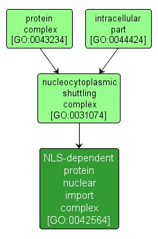 GO:0042564 - NLS-dependent protein nuclear import complex (interactive image map)