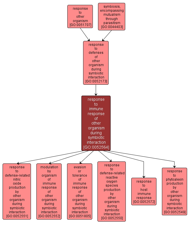 GO:0052564 - response to immune response of other organism during symbiotic interaction (interactive image map)