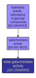 GO:0004565 - beta-galactosidase activity (interactive image map)