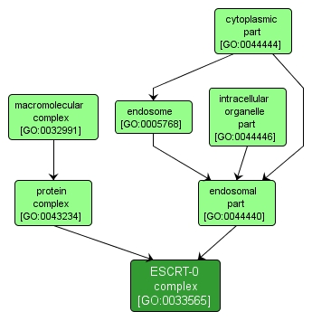 GO:0033565 - ESCRT-0 complex (interactive image map)