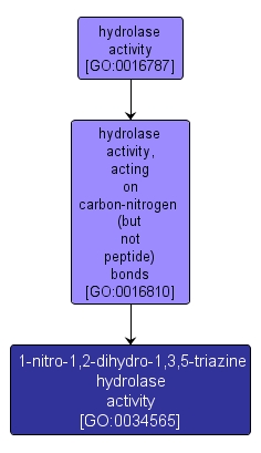 GO:0034565 - 1-nitro-1,2-dihydro-1,3,5-triazine hydrolase activity (interactive image map)