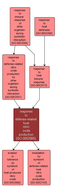 GO:0052565 - response to defense-related host nitric oxide production (interactive image map)
