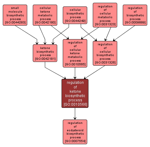 GO:0010566 - regulation of ketone biosynthetic process (interactive image map)