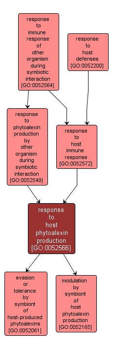 GO:0052566 - response to host phytoalexin production (interactive image map)