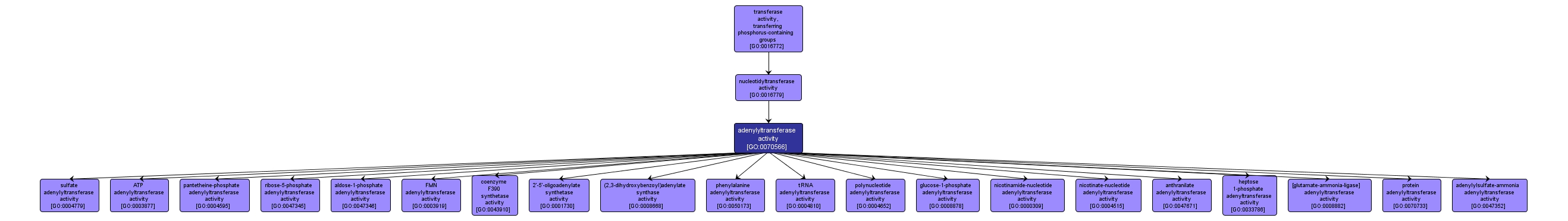 GO:0070566 - adenylyltransferase activity (interactive image map)