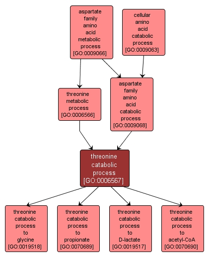 GO:0006567 - threonine catabolic process (interactive image map)
