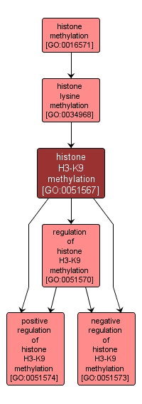 GO:0051567 - histone H3-K9 methylation (interactive image map)