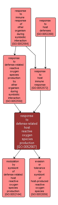 GO:0052567 - response to defense-related host reactive oxygen species production (interactive image map)
