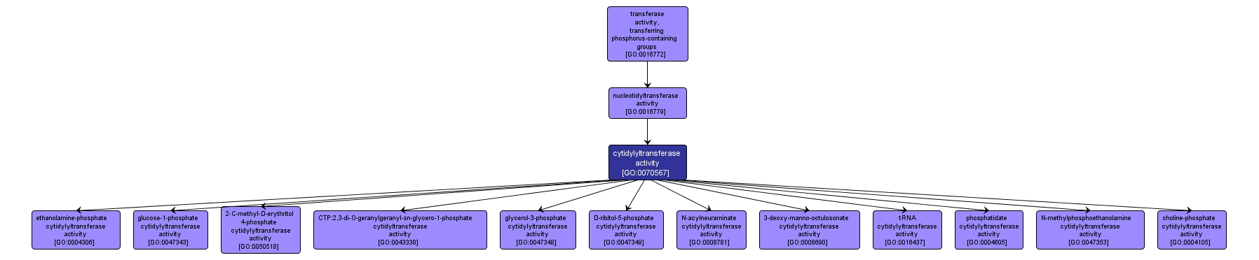 GO:0070567 - cytidylyltransferase activity (interactive image map)