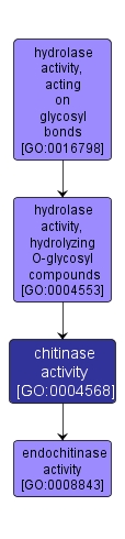 GO:0004568 - chitinase activity (interactive image map)