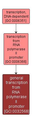 GO:0032568 - general transcription from RNA polymerase II promoter (interactive image map)