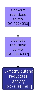 GO:0046568 - 3-methylbutanal reductase activity (interactive image map)