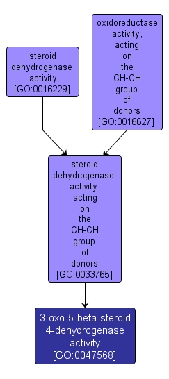 GO:0047568 - 3-oxo-5-beta-steroid 4-dehydrogenase activity (interactive image map)