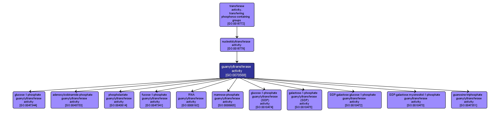 GO:0070568 - guanylyltransferase activity (interactive image map)