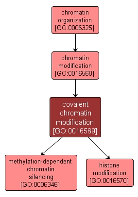 GO:0016569 - covalent chromatin modification (interactive image map)