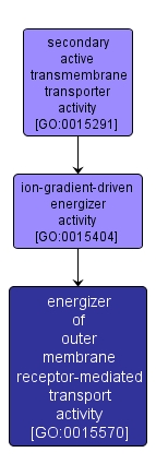 GO:0015570 - energizer of outer membrane receptor-mediated transport activity (interactive image map)