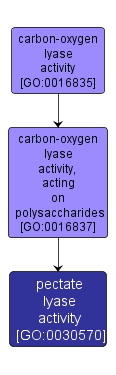 GO:0030570 - pectate lyase activity (interactive image map)