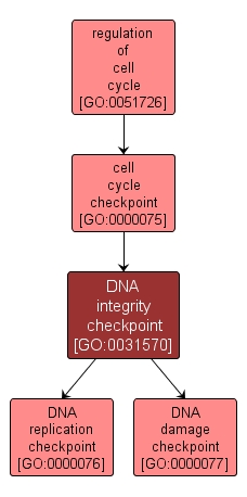 GO:0031570 - DNA integrity checkpoint (interactive image map)