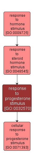 GO:0032570 - response to progesterone stimulus (interactive image map)