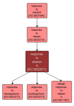 GO:0032571 - response to vitamin K (interactive image map)