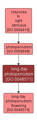 GO:0048571 - long-day photoperiodism (interactive image map)