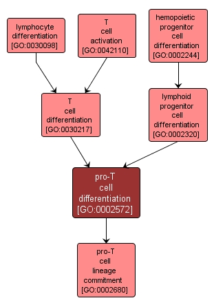 GO:0002572 - pro-T cell differentiation (interactive image map)