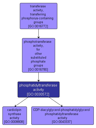 GO:0030572 - phosphatidyltransferase activity (interactive image map)