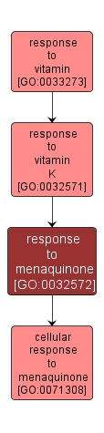 GO:0032572 - response to menaquinone (interactive image map)
