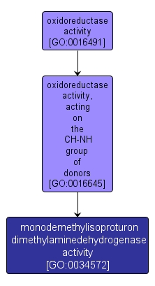 GO:0034572 - monodemethylisoproturon dimethylaminedehydrogenase activity (interactive image map)