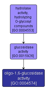 GO:0004574 - oligo-1,6-glucosidase activity (interactive image map)